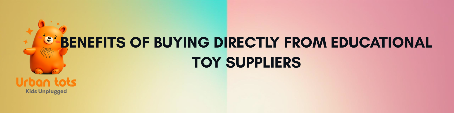Benefits of Buying Directly from Educational Toy Suppliers